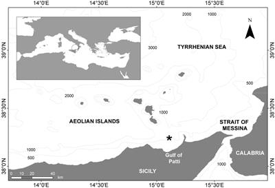 Coupling Gastro-Intestinal Tract Analysis With an Airborne Contamination Control Method to Estimate Litter Ingestion in Demersal Elasmobranchs